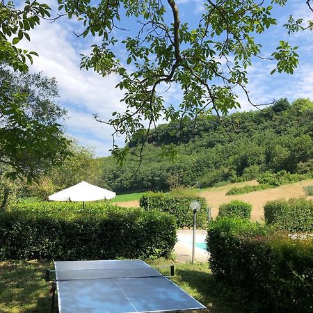 Agriturismo L'Esinante Cupramontana エクステリア 写真