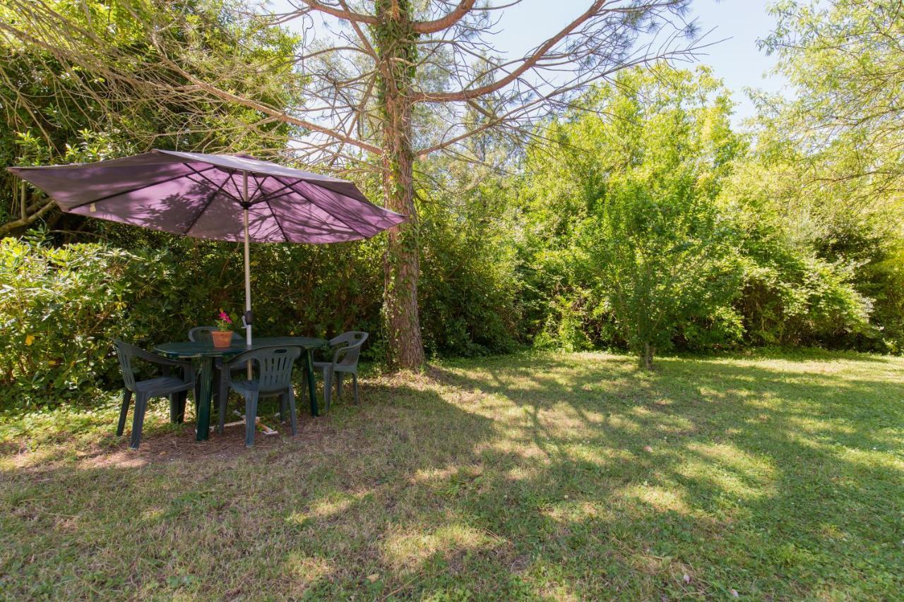 Agriturismo L'Esinante Cupramontana エクステリア 写真