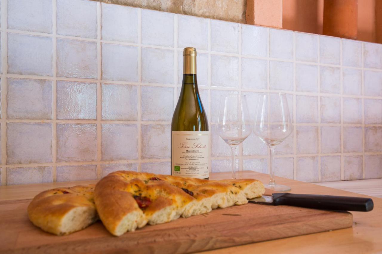 Agriturismo L'Esinante Cupramontana エクステリア 写真