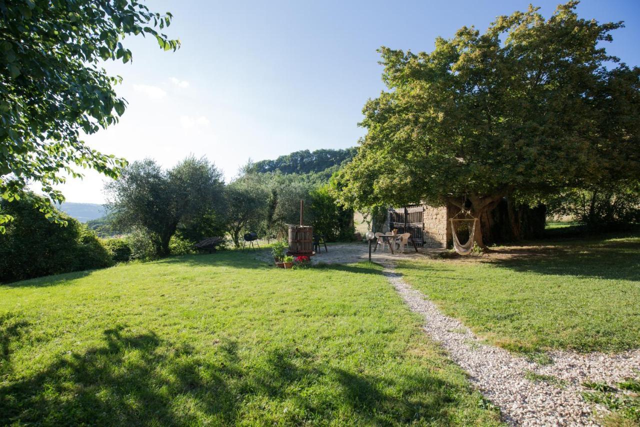 Agriturismo L'Esinante Cupramontana エクステリア 写真